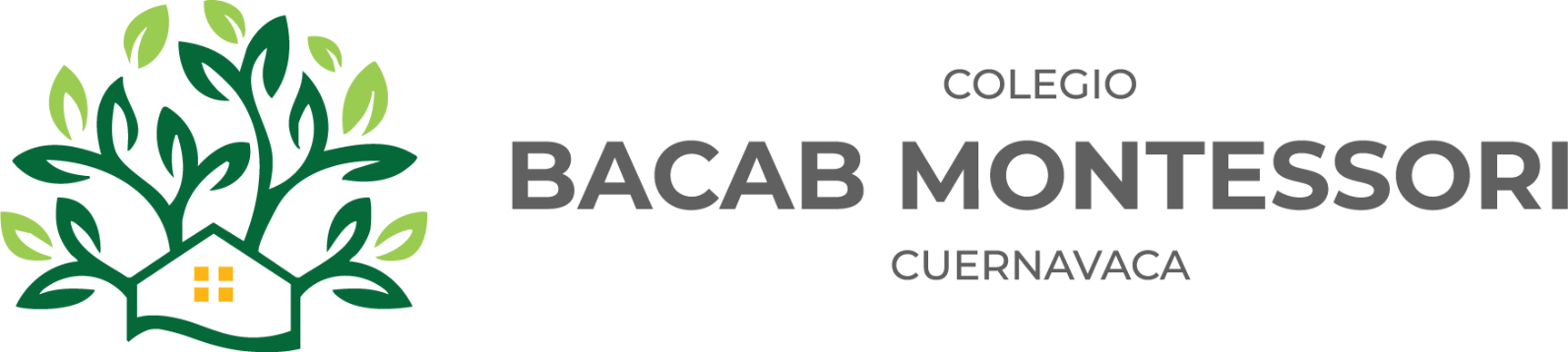 Colegio Bacab Montessori